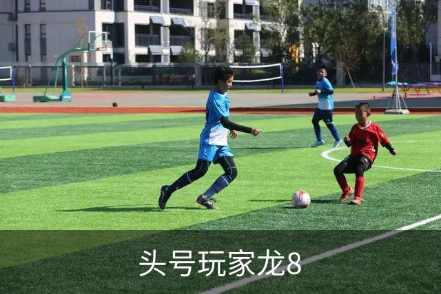 头号玩家龙8公司简介图片